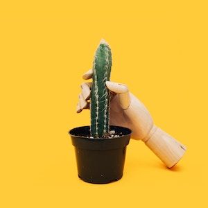 Masturbation Potenz Steigerung